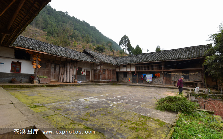 20170205苍溪东溪镇庙子村31