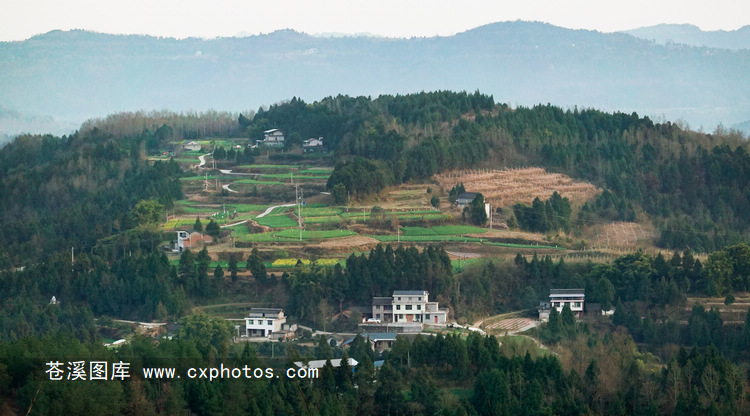 20200216苍溪云峰镇木梁村蜈蚣山03