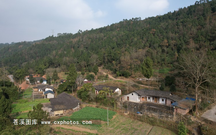 20211221苍溪元坝镇高清村周家河03