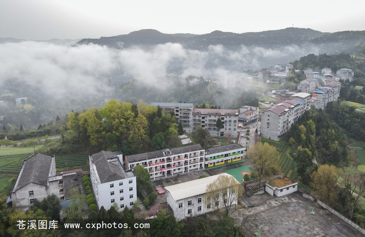 20210321苍溪元坝镇张王场05
