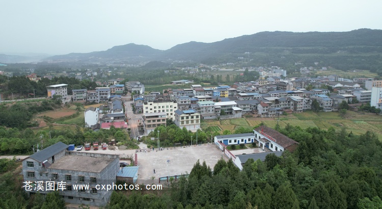 20210504苍溪白桥场03