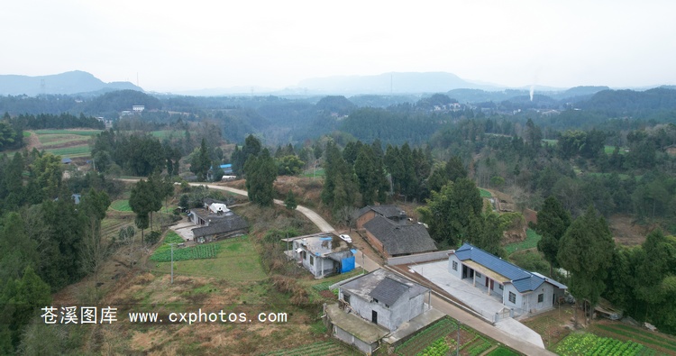 20220124苍溪元坝镇板庙村龙家沟01