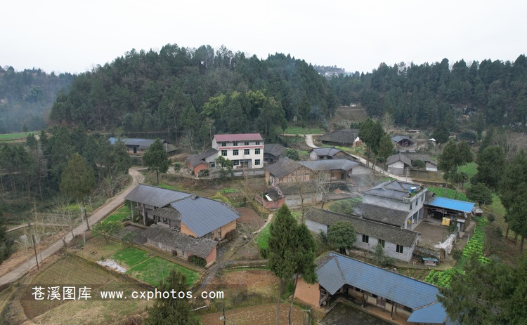 20220124苍溪元坝镇板庙村龙家沟07