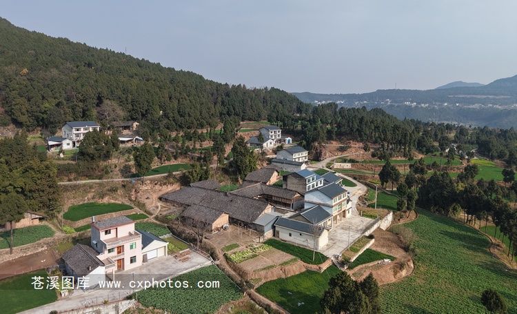 20260201苍溪白桥镇同心村龚家坝02