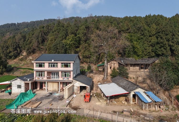 20260201苍溪白桥镇同心村龚家坝04