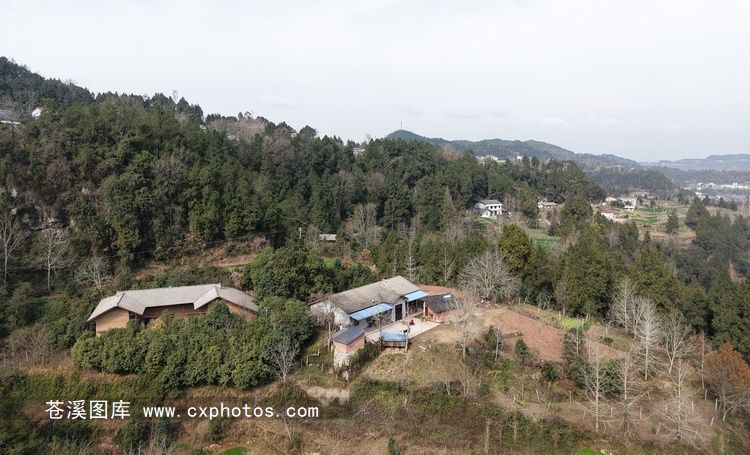 20260130苍溪龙山镇美福村曾家湾02
