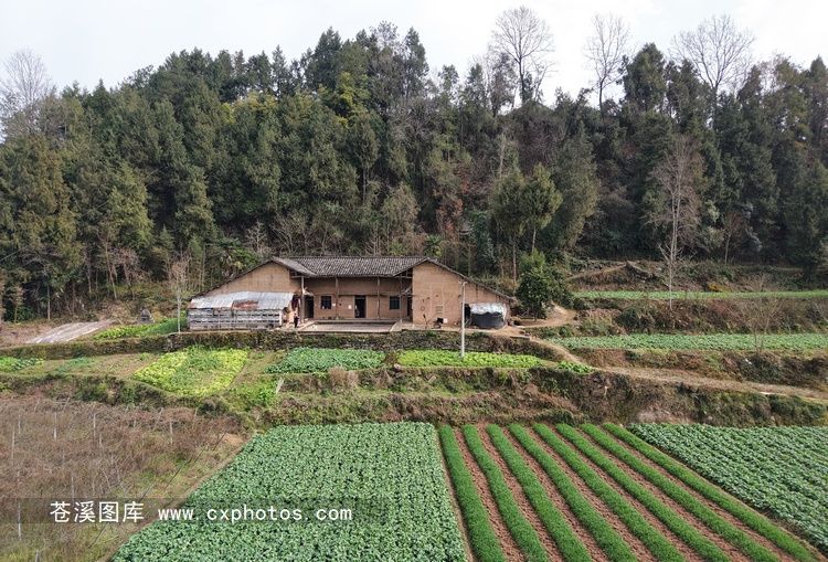 20260130苍溪龙山镇美福村曾家湾09