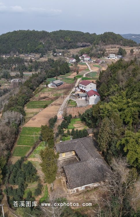 20260130苍溪龙山镇美福村尖包梁