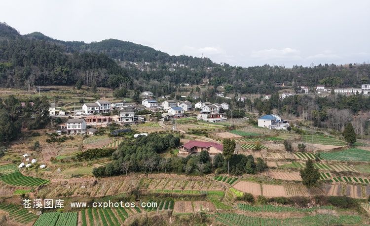 20260130苍溪龙山镇美福村母家坝