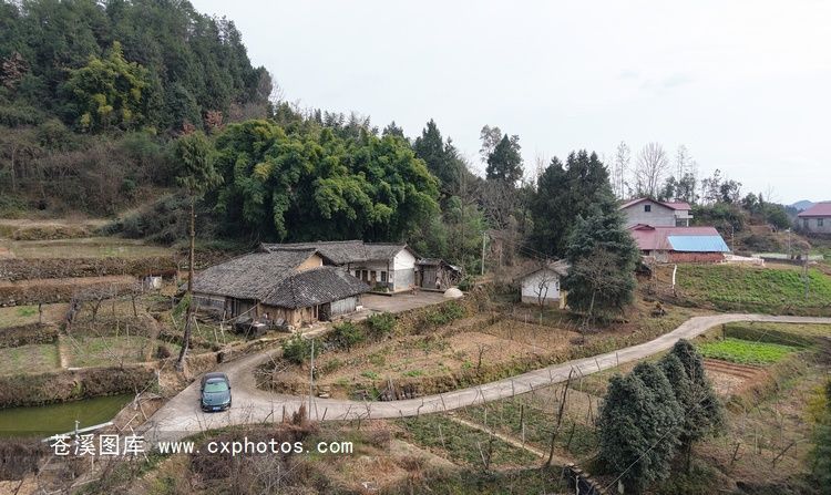 20260130苍溪龙山镇美福村冉家洞06